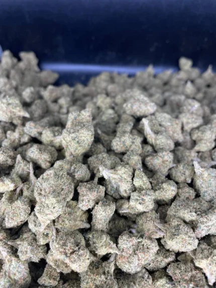 Lemon cherry gelato strain