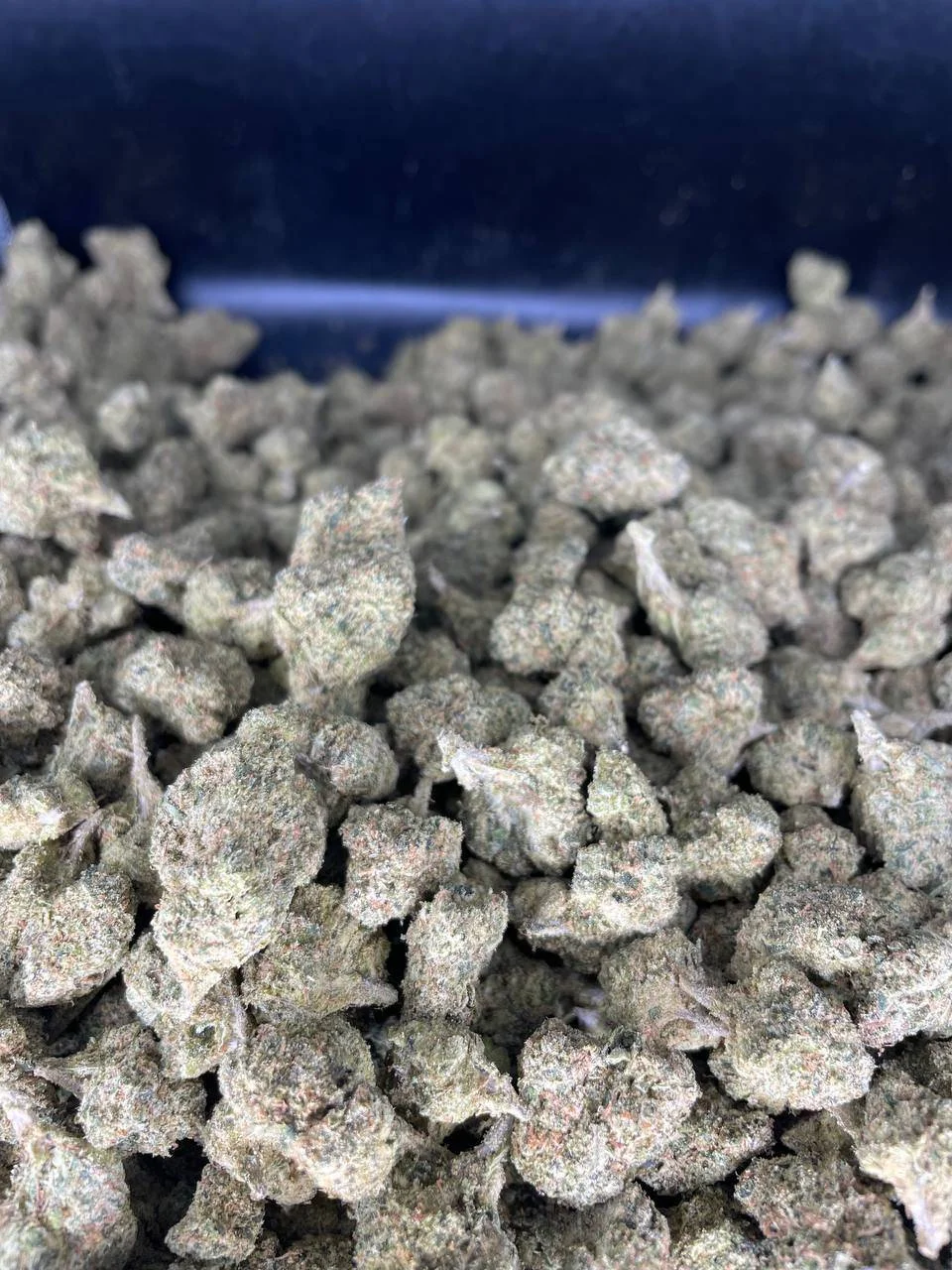 Lemon cherry gelato strain Lemon cherry gelato strain