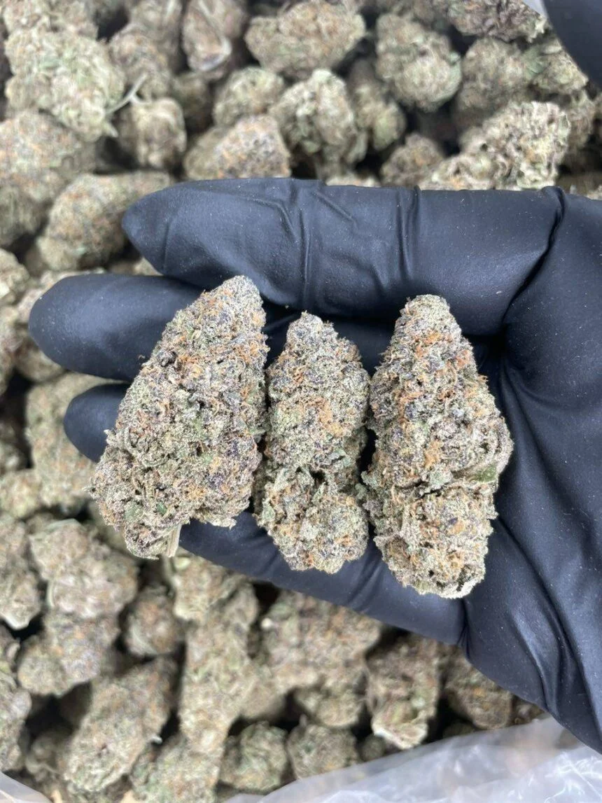 Granddaddy Purple Granddaddy Purple