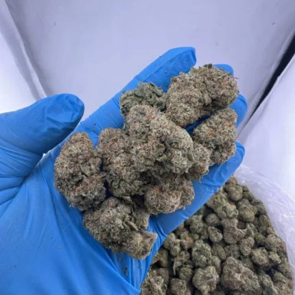 Candy runtz strain
