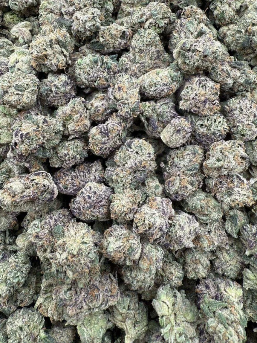 Wagyu strain Wagyu strain